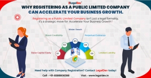 Why Registering as a Public Limited Company Can Accelerate Your Business Growth