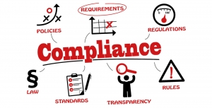 Cost of Non-Compliance: Penalties and Risks Under the Companies Act