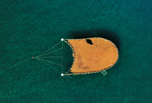 Innovation News and Leadership News: Driving Global Change Through Modern Strategies