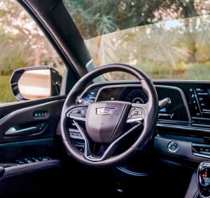 Experience the Best Car Hire With Driver