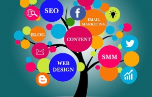 The Role of a Digital Marketing Strategist in Kannur