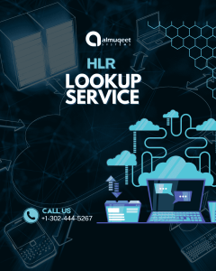 HLR Lookup Services