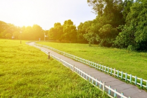 What Impact Do Urban Green Spaces Have on Mental Health?