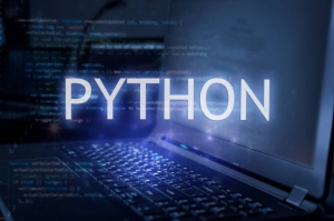 What Skills Are Covered in a Python Course with Certificate?