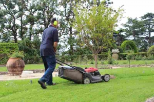 Premium Landscape Services in Saudi Arabia | Quality You Can Trust