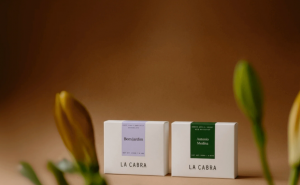 Why Coffee Lovers in the UAE Prefer Premium Brazilian Blends