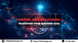 Custom CRM Solutions: Transform Your Business Data