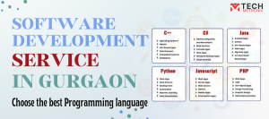How to Find the Best Software Development Service Provider in Gurgaon