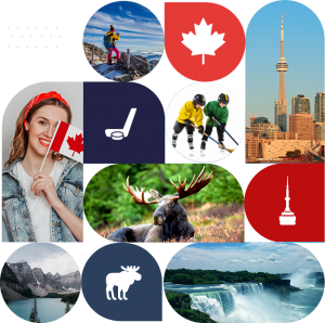 The Benefits of Working with a Citizenship Lawyer Canada