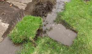 Sewer Cleaning Services