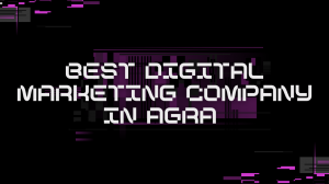 Best Digital Marketing Company in Agra