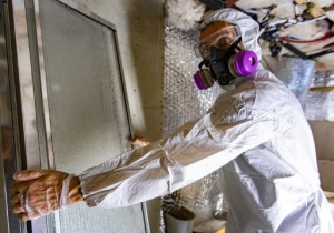 Should Property Owners Trust an Asbestos Removal Contractor for Safety?