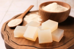 Agar Manufacturing Plant Setup Cost 2025: Business Plan, Raw Materials, and Industry Trends 
