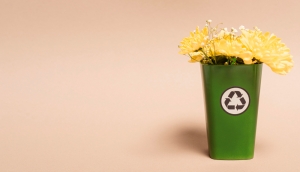 Trash Bin Odors: Effects on Your Home and Easy Solutions