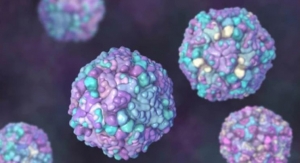 Coxsackie Virus Mouse Models to Accelerate Infectious Disease Research