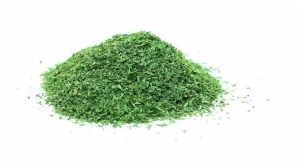 Parsley Powder Manufacturing Plant Project Details, Requirements, Cost and Economics 2025