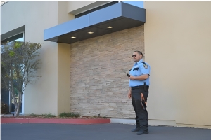 Why Tailored Security for Business Parks Is Key to Preventing Crime?