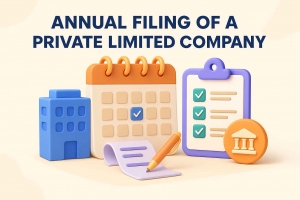 How Is Annual Filing of a Private Limited Company Done with AMpuesto?