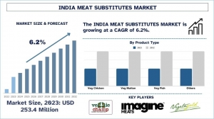India Meat Substitutes Market Report, Size, Overview, Trends & Analysis 2032