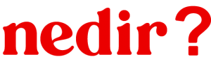 What is Nedir.life? A Cultural Guide to Simple Answers