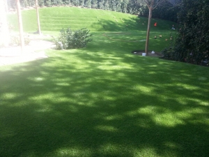 Why Orange County Homeowners Are Switching to Turf in 2025