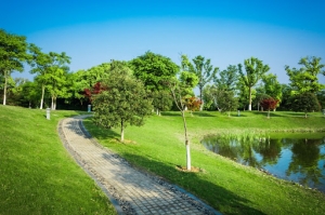 What Are Key Characteristics of Urban Areas?