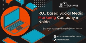 ROI Based Social Media Marketing Company in Noida for Business Growth and Online Success | Wish Geeks Techserve