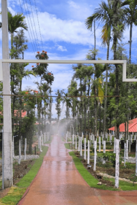 Top Reasons to Choose a Luxury Resort in Chikmagalur for Your Next Getaway
