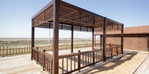 Why Pergolas in Fort Worth Are Perfect for Entertaining Guests Outdoors