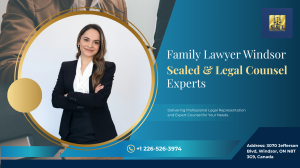 Family Lawyer Windsor 