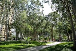 Key Benefits of Green Space Preservation