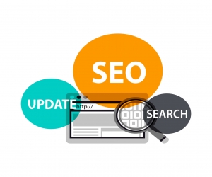 SEO Company in Delhi – Serving Your Business Like Delhi’s Street Food in 2025