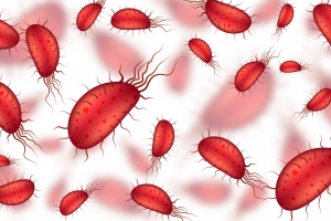 Parasite Cleanse Trends in Canada: Separating Facts from Hype