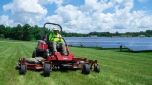 Landscaping Trends That Are Changing the Look of Commercial Properties