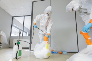 Managing Asbestos in Commercial Buildings: Your Legal Responsibilities