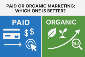 Paid or Organic Marketing: Which One is Better?