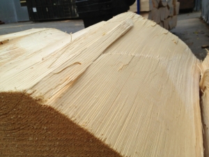 Lutz Spruce Bracewood