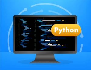 What Makes Python Programming Certificate Online More Valuable Than a Degree?