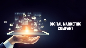 Leading the Way: Best Digital Marketing Company in Delhi for 2025