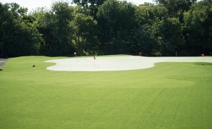 Artificial Turf Putting Green in Austin: Enhancing Your Backyard Golf Experience 