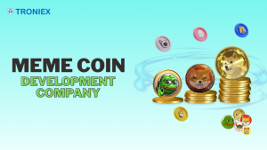 Top Meme Coin Development Company for Entrepreneurs in 2025
