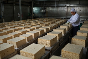 Tofu Manufacturing Plant Setup Report 2025: Machinery Requirements and Cost Involved