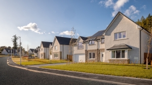 The Importance of Sustainability in Property Development Services