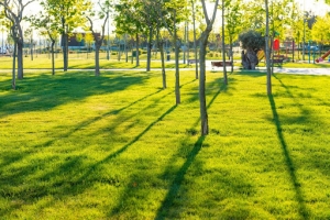 What Are the Benefits of Community Green Spaces?