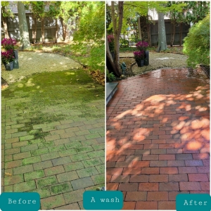 Professional Sidewalk and Paver Cleaning in Long Island, NY