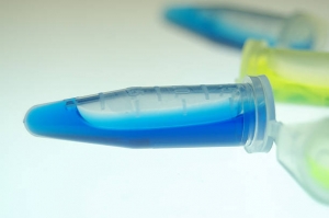 Boost Cognitive Function and Cellular Health with Methylene Blue 