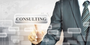 The Role of Business Consulting Firms in Successful Company Formations
