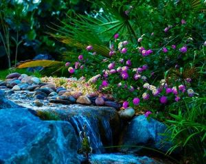 Mistakes to Avoid When Hiring an Aquascape Contractor