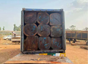 Discovering Ovangkol Wood: A Versatile Treasure from West Africa