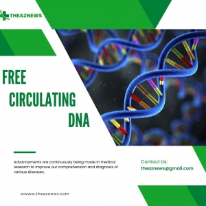 Decoding the Language of Circulating Free DNA: From Bench to Bedside